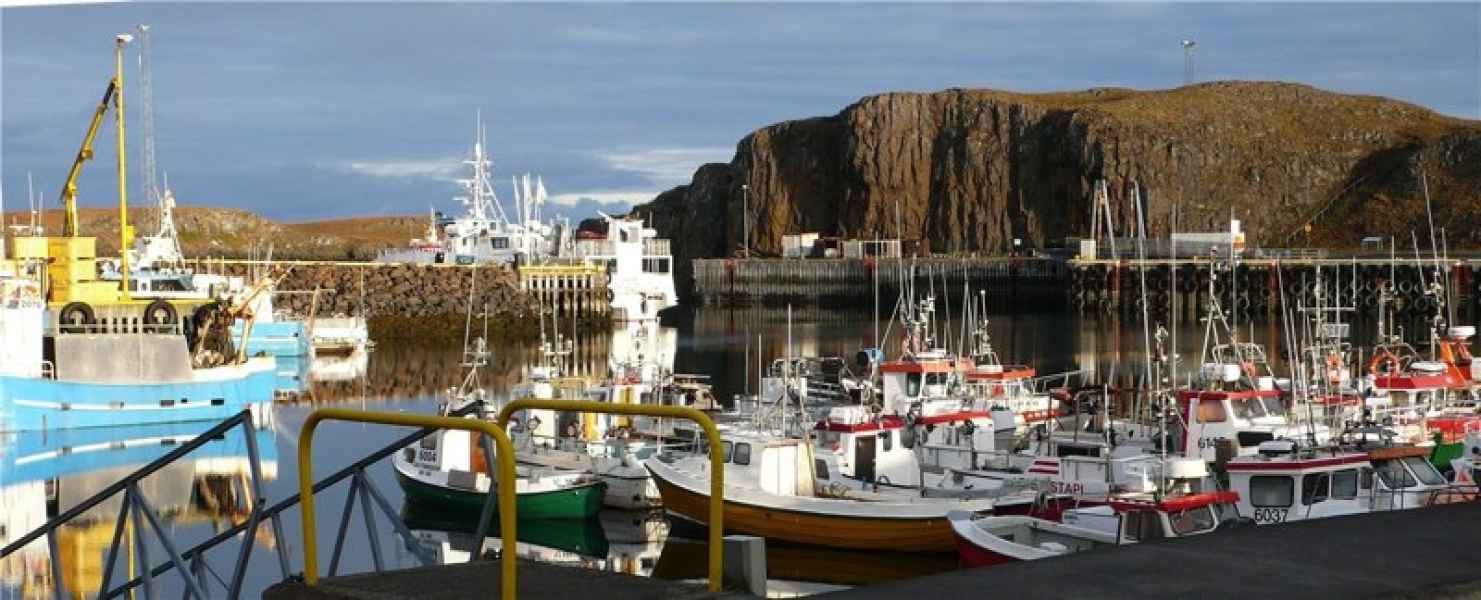 Martröð frá tímum systranna Óstjórnar og Ofstjórnar